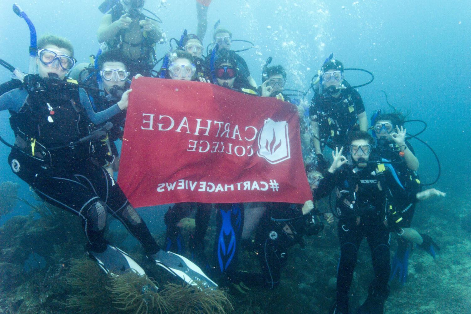 学生们手持<a href='http://ttos.ngskmc-eis.net'>博彩网址大全</a>旗帜，在j学期洪都拉斯游学之旅中潜水.